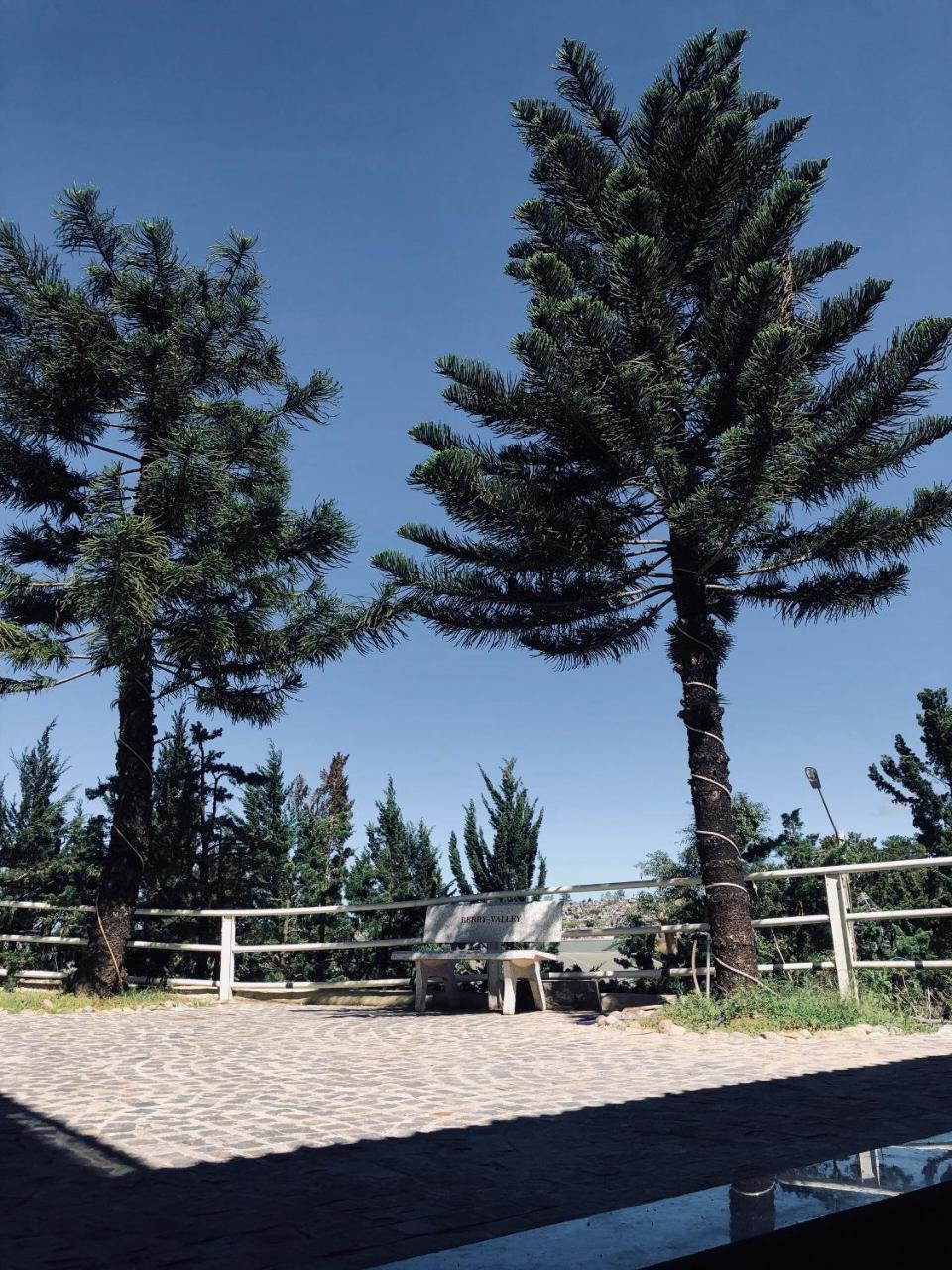 Berry Valley Homestay Да Лат Екстериор снимка